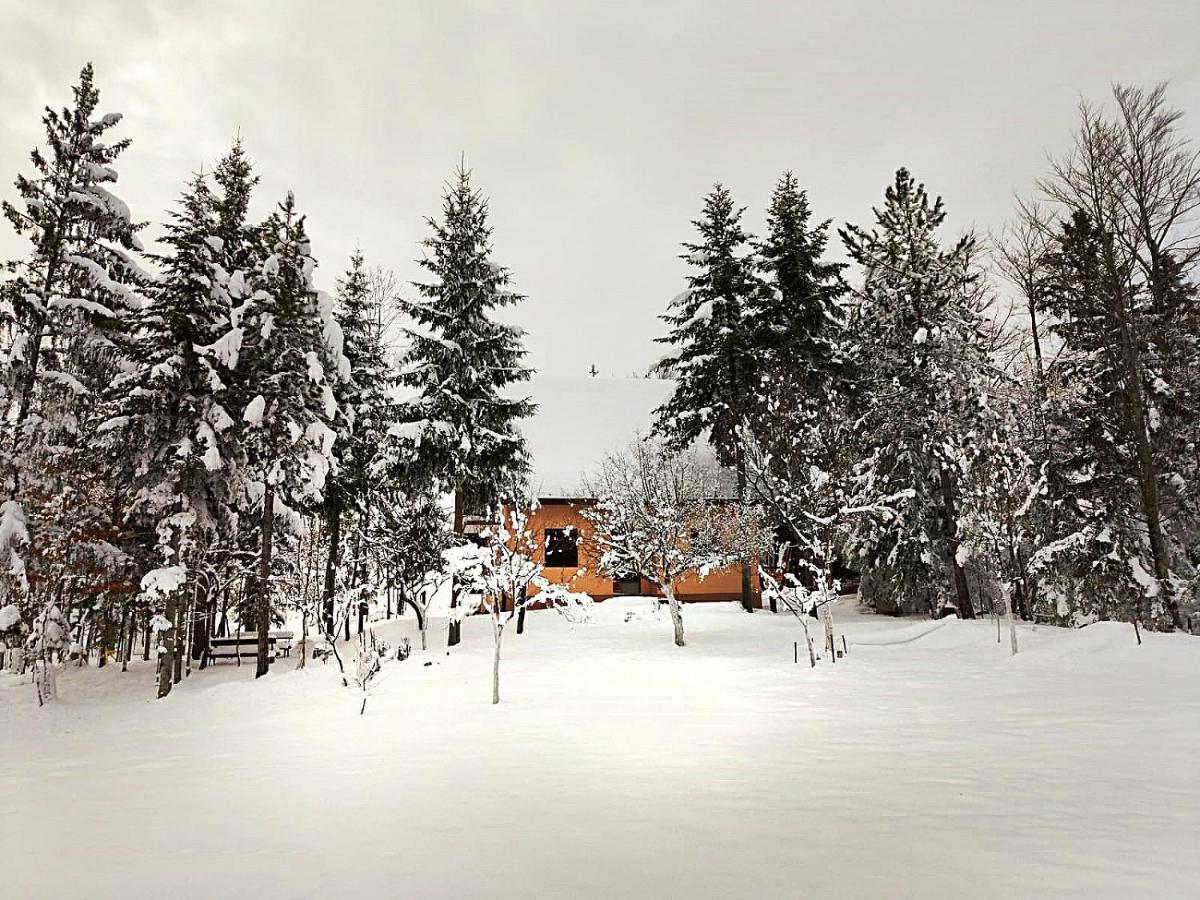 Dren - Banjska Stena Mitrovac Exterior foto